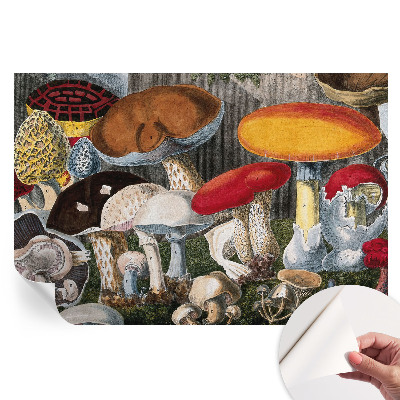 Papier peint photo moderne pour le salon champignons botaniques