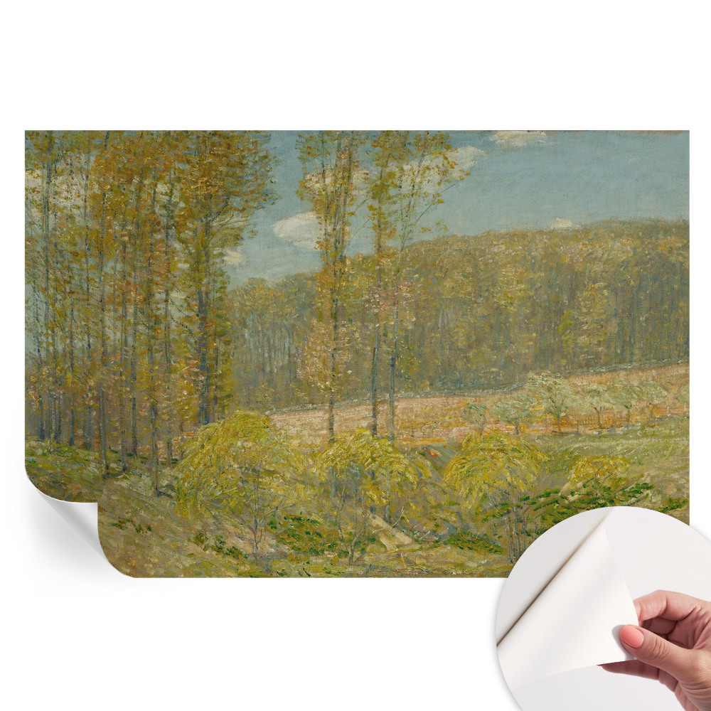 Fresque murale autocollante paysage forestier