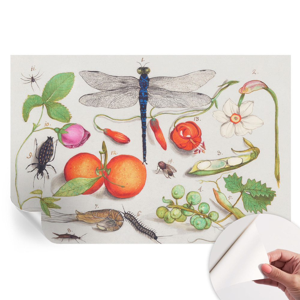 Papier peint photo autocollant pour la chambre Illustration de la nature