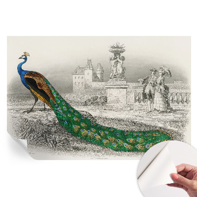 Papier peint autocollant pour salon à motif de plumes colorées