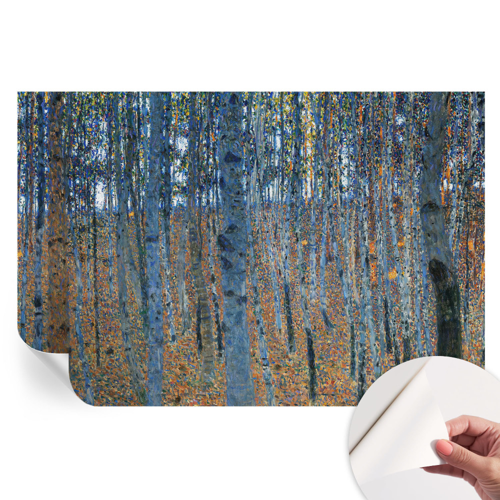 Papier peint photographique autocollant forêt de bouleaux