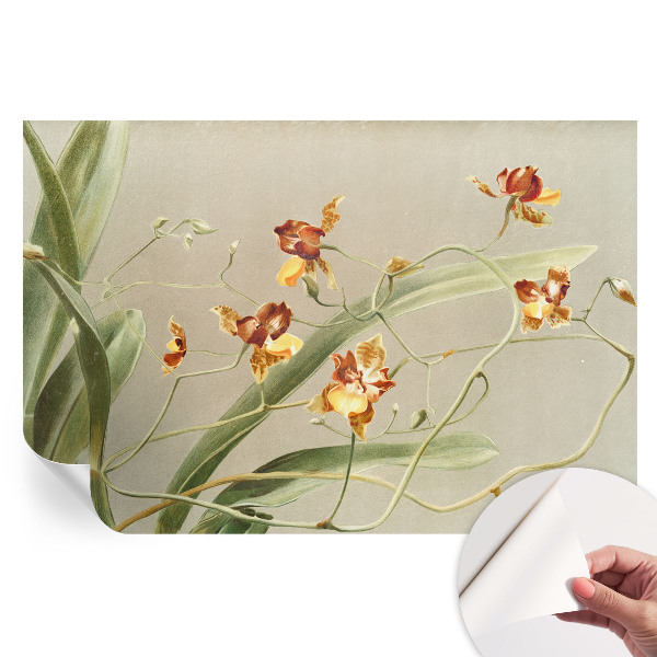 Papier peint autocollant pour salon Orchidées classiques