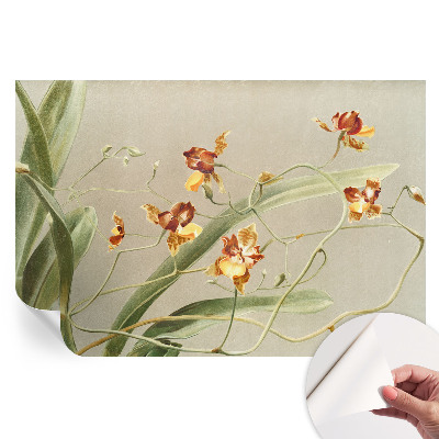 Papier peint autocollant pour salon Orchidées classiques