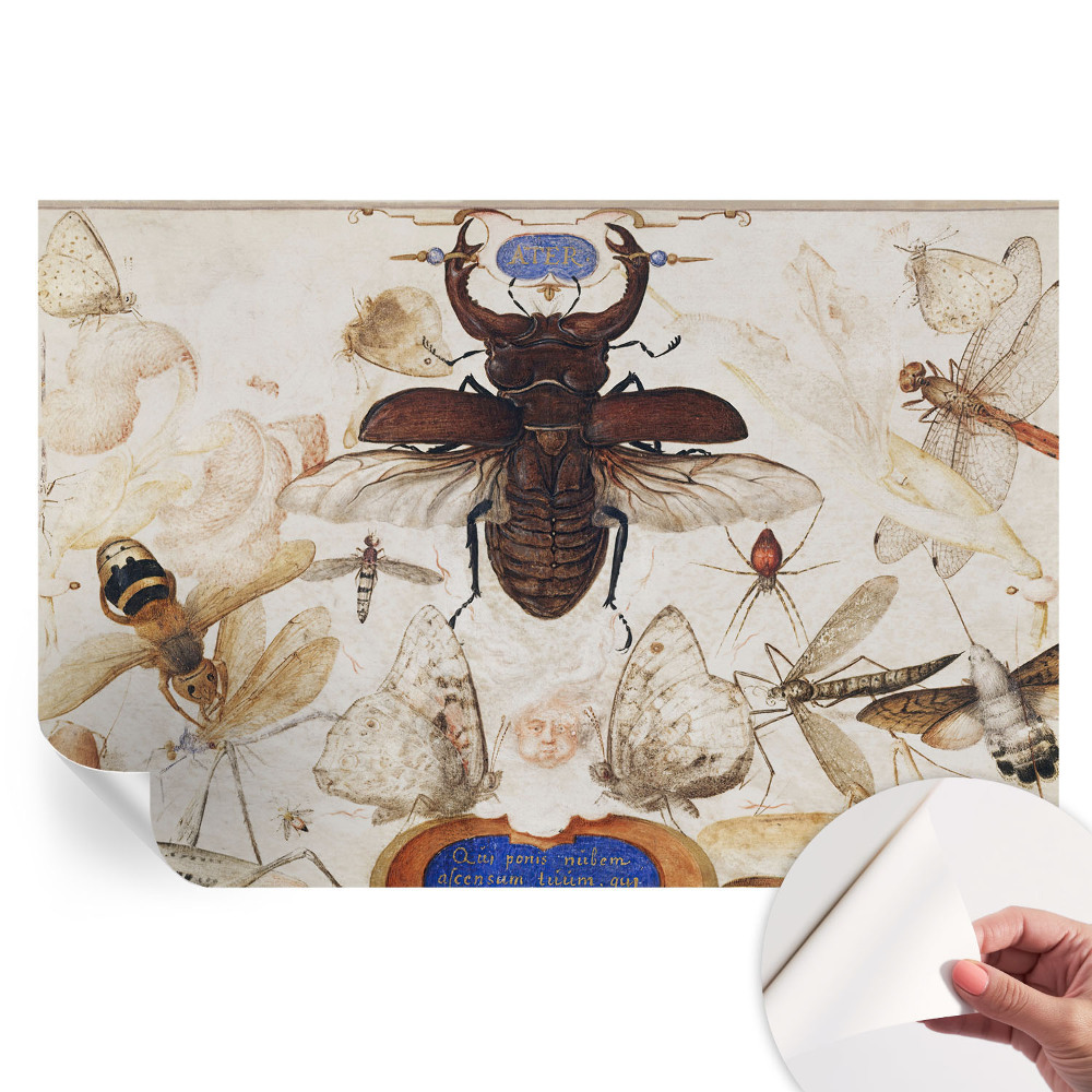 Papier peint photo autocollant Harmonie naturelle