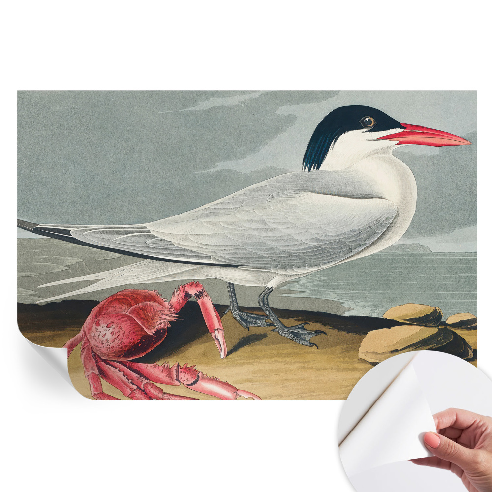 Papier peint photo moderne Paysages marins pour le salon