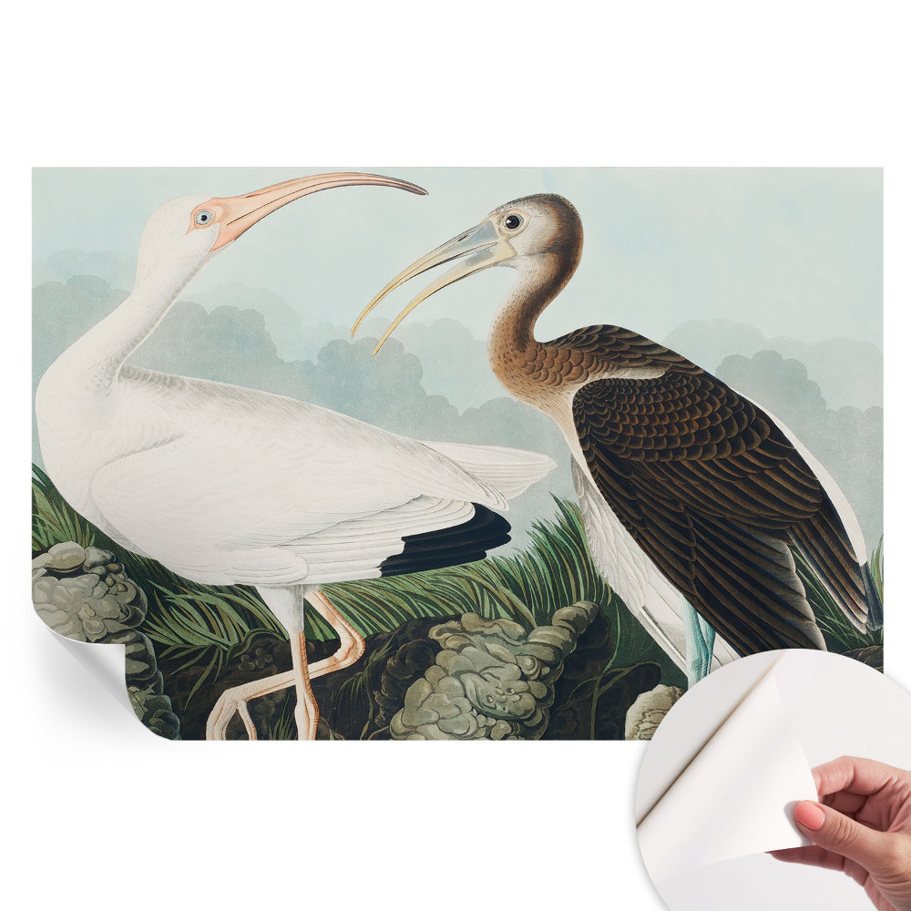 Papier peint autocollant pour salon motif couple d'oiseaux