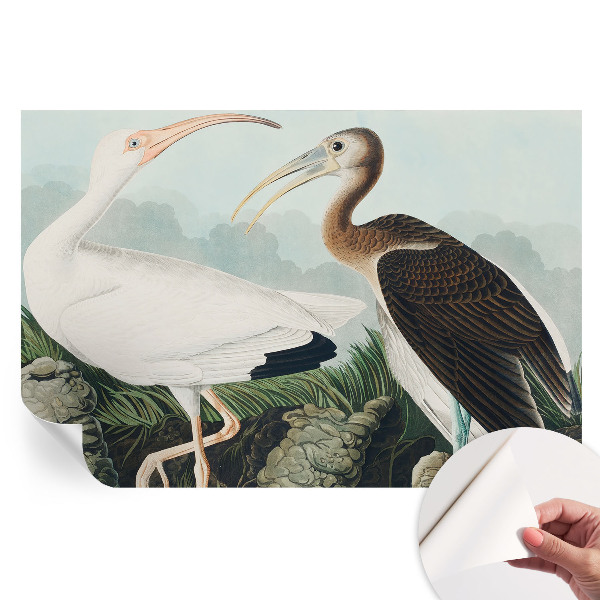 Papier peint autocollant pour salon motif couple d'oiseaux