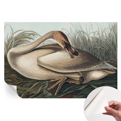 Papier peint photo autocollant pour chambre motif oiseau naturel