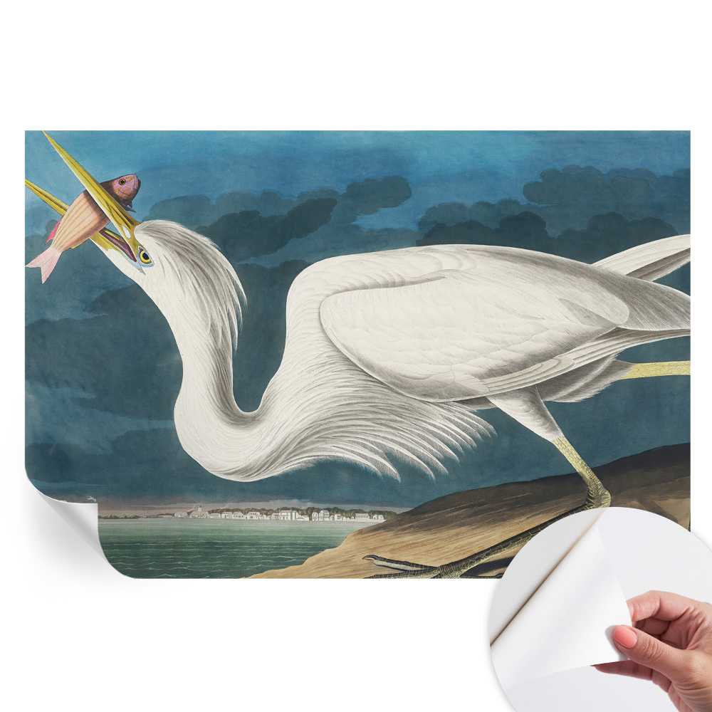 Papier peint photo autocollant motif oiseau avec poisson
