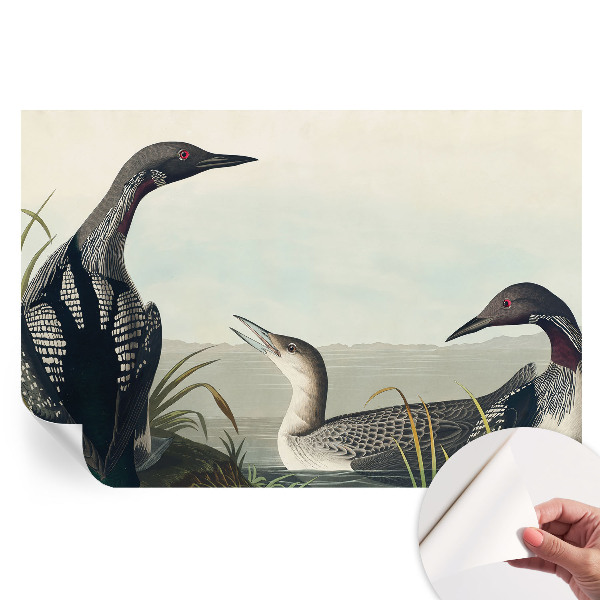 Papier peint autocollant pour salon motif oiseaux sur l'eau