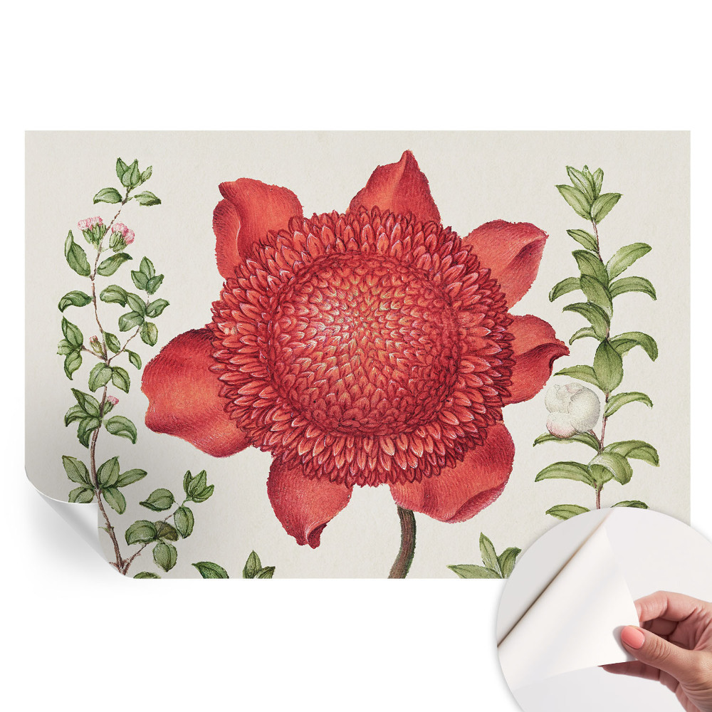 Papier peint autocollant élégance florale pour le salon