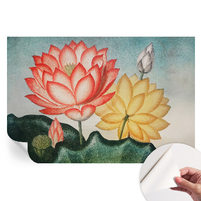 Papier peint photo autocollant motifs fleurs de lotus