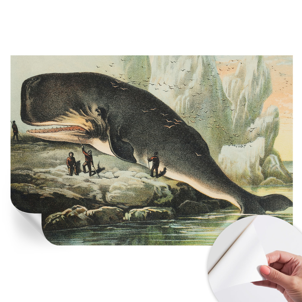 Papier peint photo autocollant Gigantisme marin