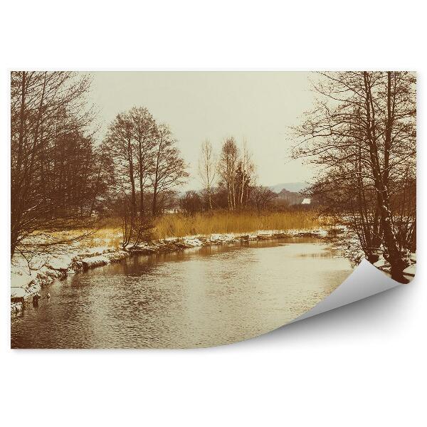 Papier peint Paysage D'hiver Lac Arbres