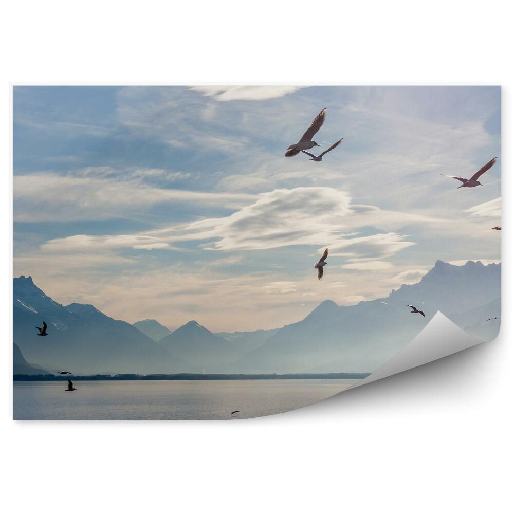 Papier peint Lacs Alpins Genewa Ciel Nuages Oiseaux