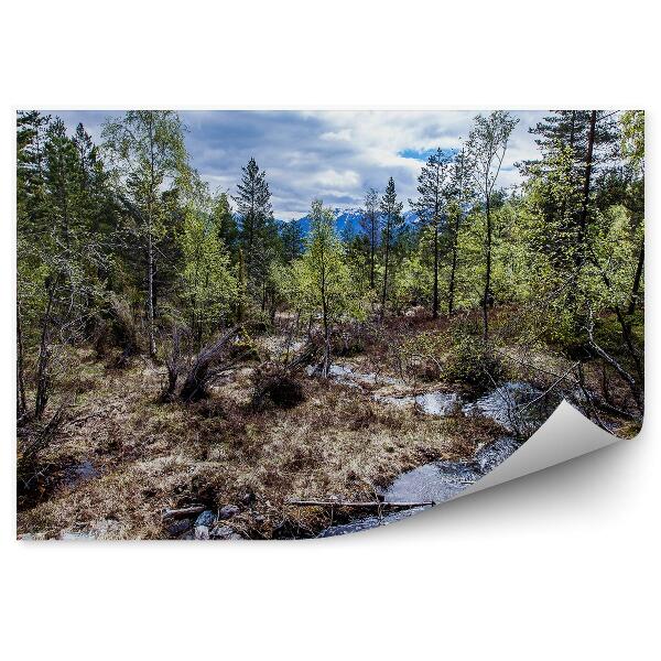 Papier peint Nature forêt ruisseau montagne