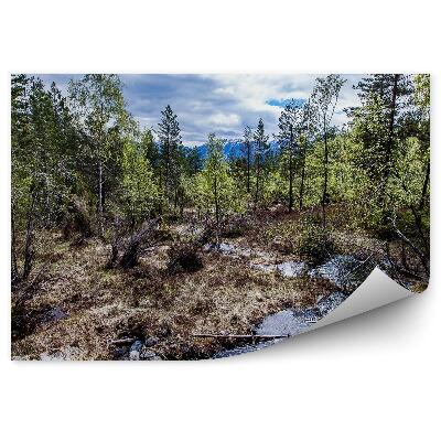 Papier peint Nature forêt ruisseau montagne