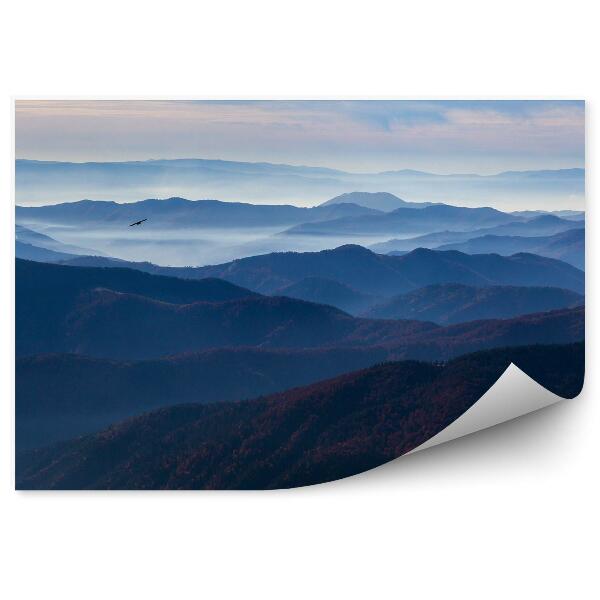 Papier peint Montagnes Plantes Brume Ciel Nuages Brume