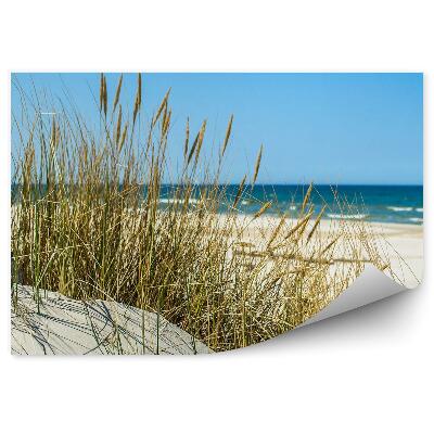Papier peint Dunes D'herbe Plage Mer Baltique Ciel Leba