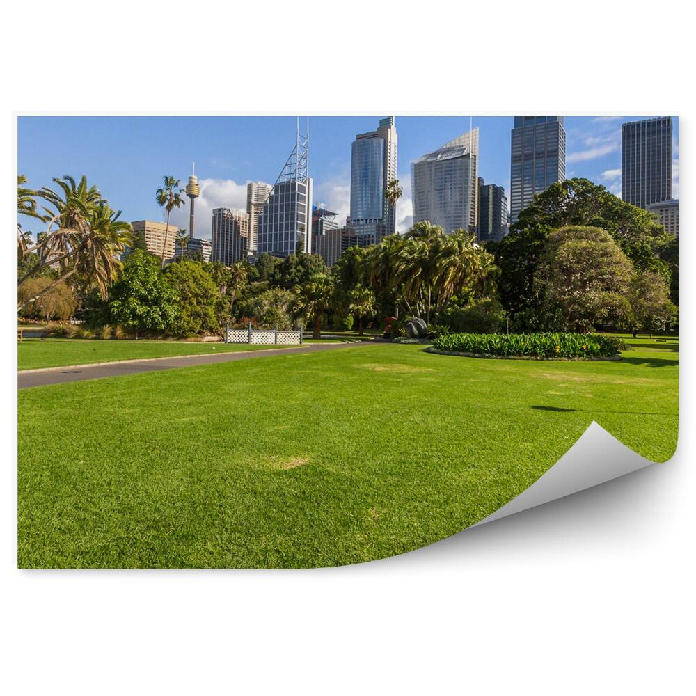 Papier peint Parc de Sydney Verdure Palmes Architecture