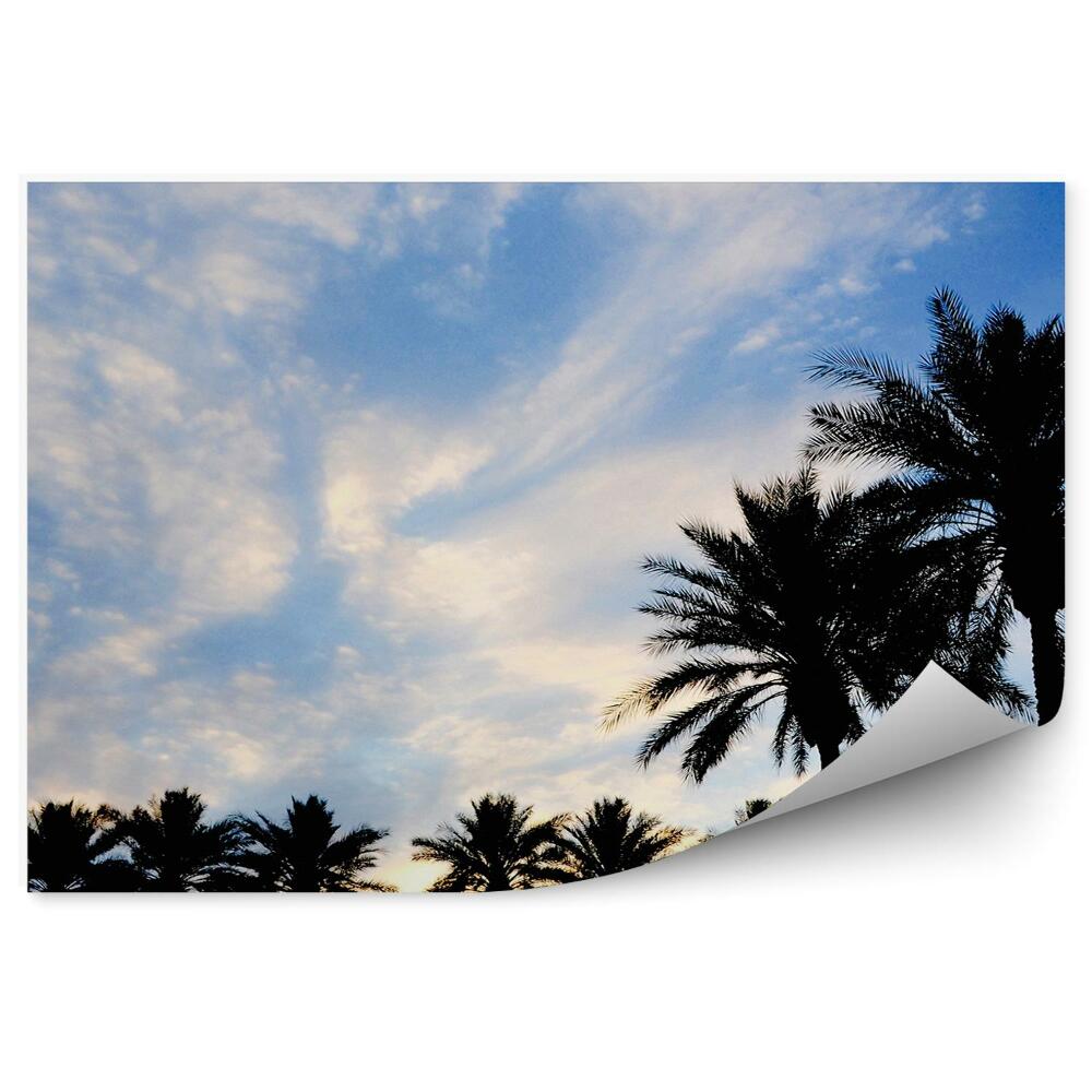 Papier peint Silhouettes de palmiers au lever du soleil