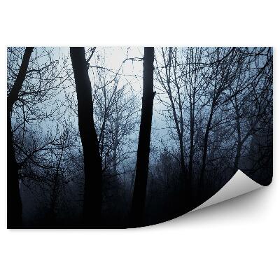 Papier peint Ombres Arbres Brouillard