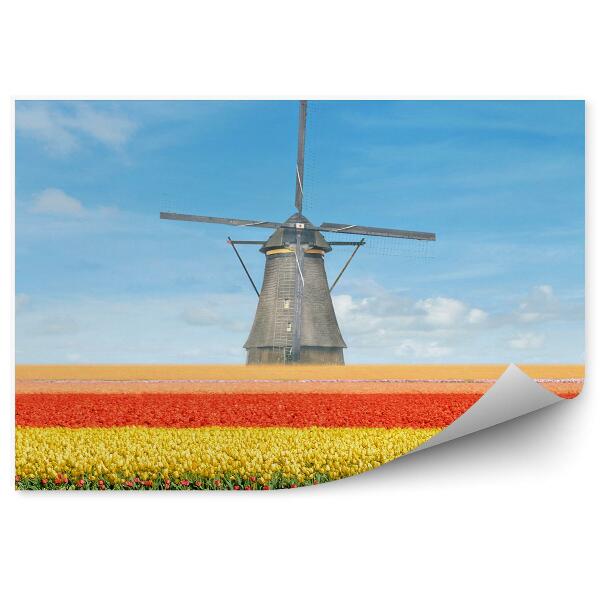 Papier peint Champ de tulipes hollande ciel nuageux