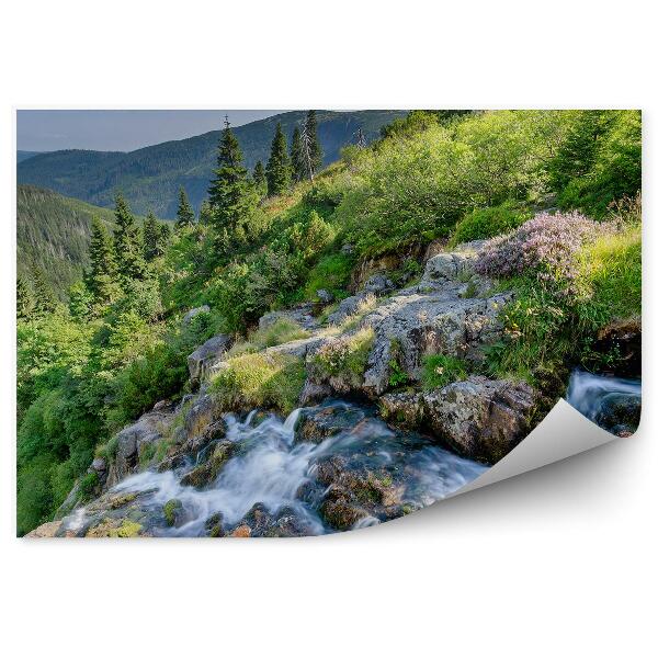 Papier peint Sudètes Arbres De Noël Montagnes Forêts