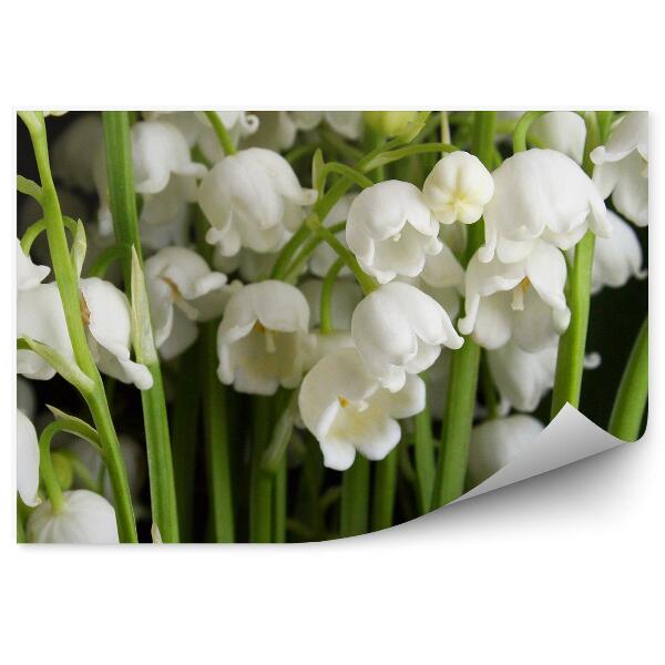 Papier peint Fleurs de muguet en gros plan