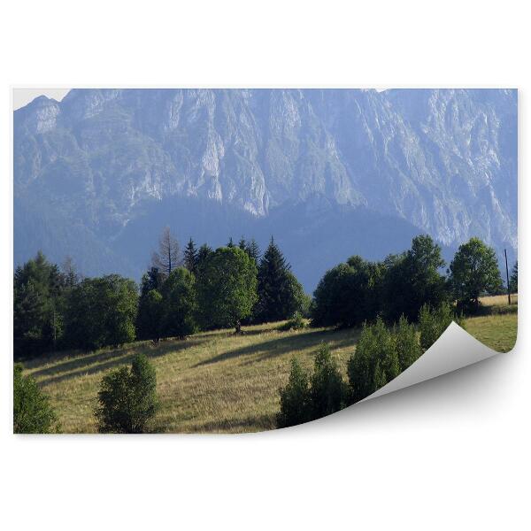 Papier peint Giewont Montagnes Arbres Conifères Herbe