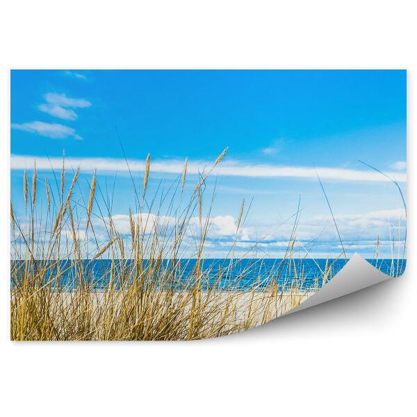 Papier peint Dunes De Mer Herbe Paysage Ciel Nuages