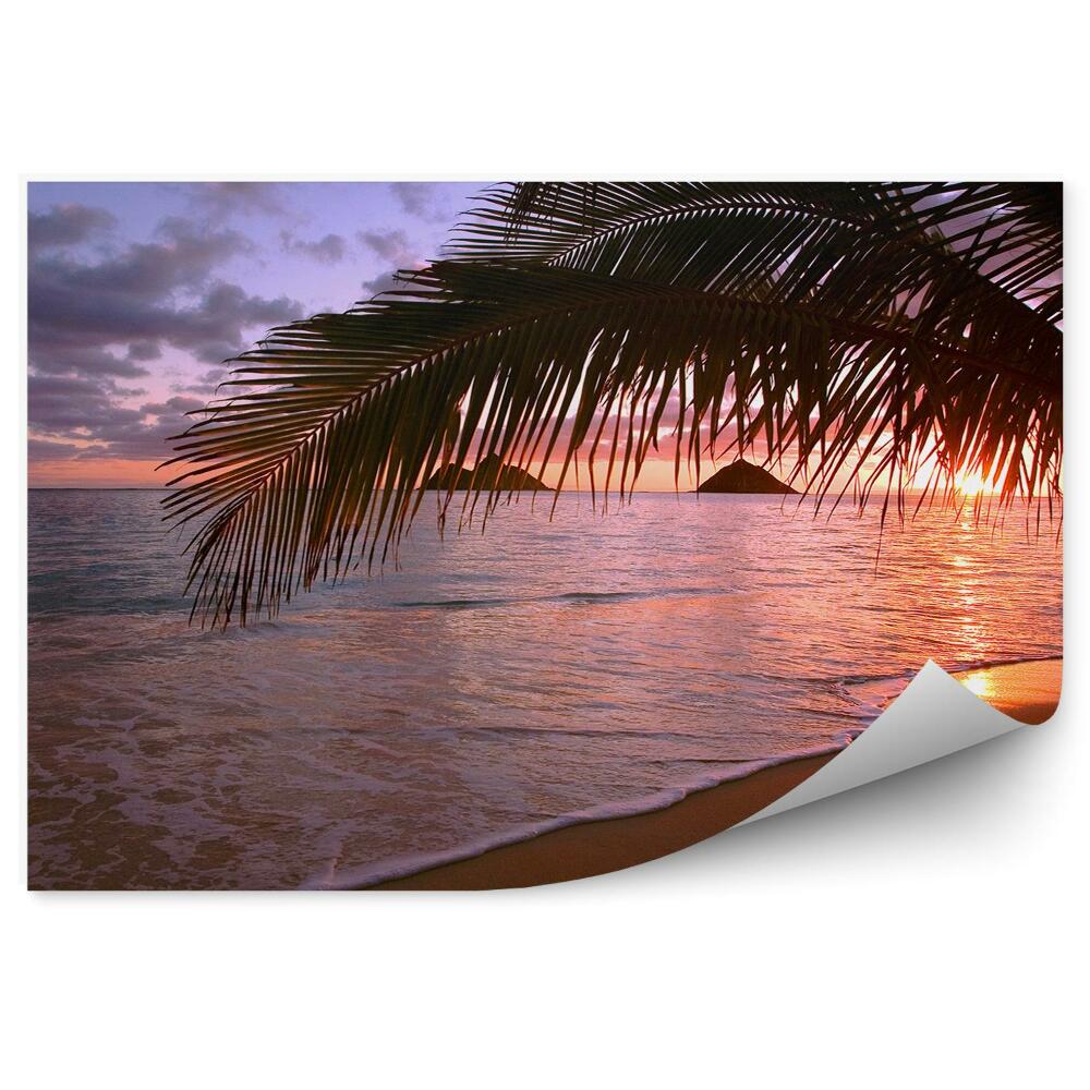 Papier peint Océan Plage Rochers Coucher de soleil Palmiers Hawaii