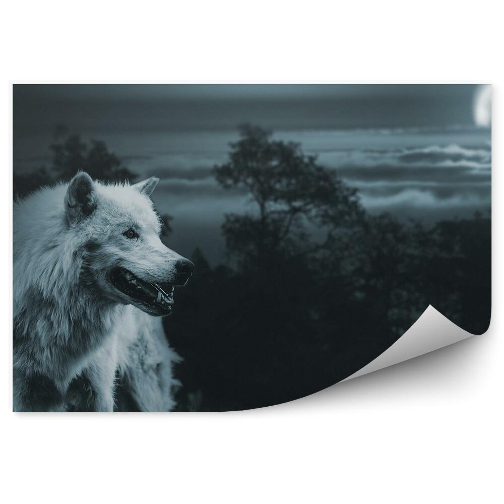 Papier peint Loup Blanc Forêt Arbres Lune Ciel Nuages