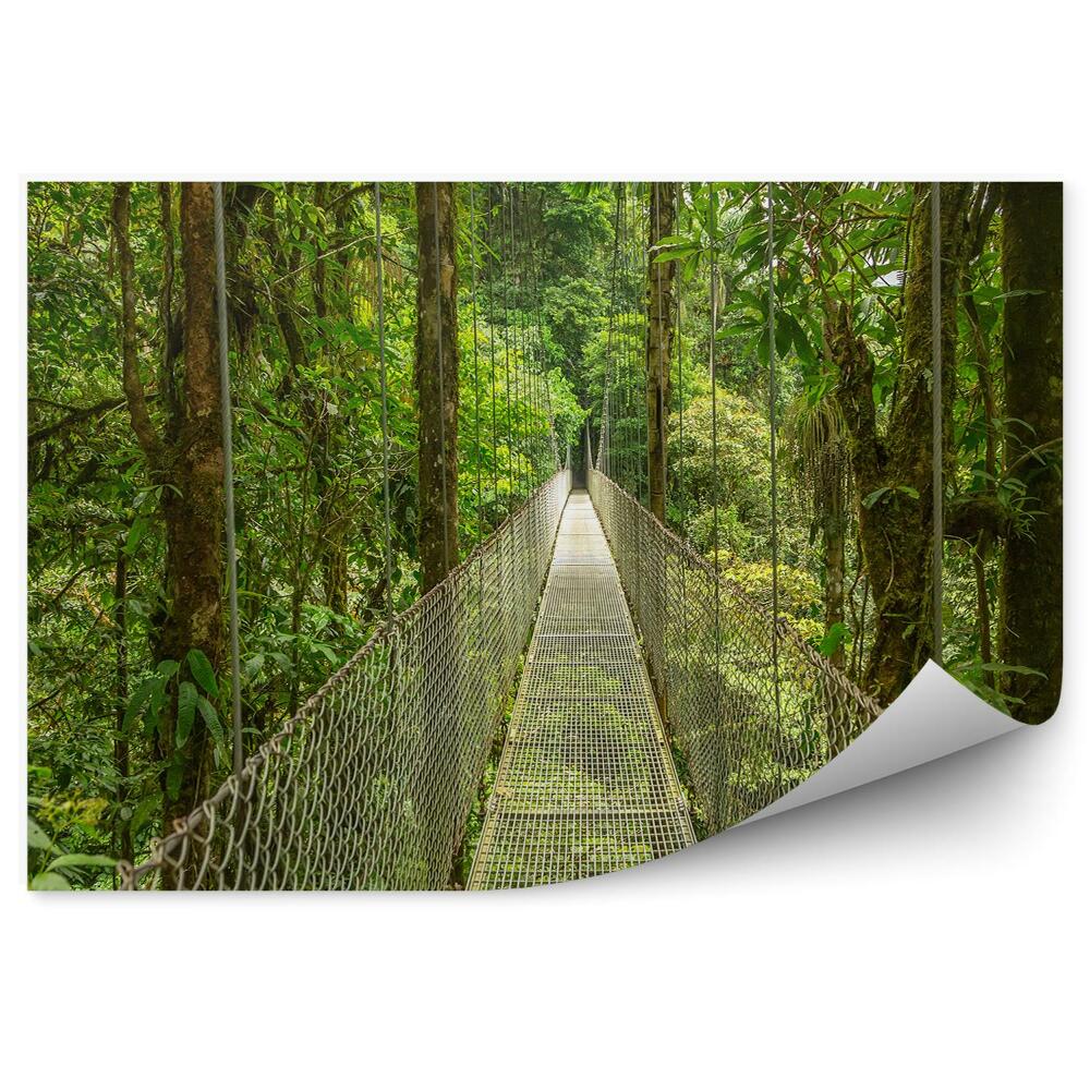 Papier peint Pont suspendu avec protection dans une forêt dense