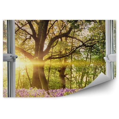 Papier peint Paysage printanier derrière la fenêtre arbres fleurs
