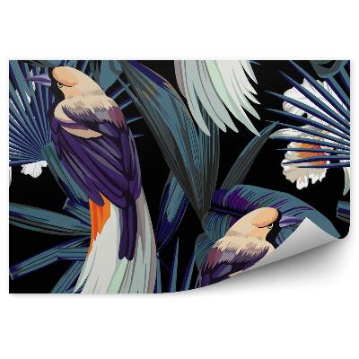 Papier peint Oiseaux, orchidées et nuit de la jungle