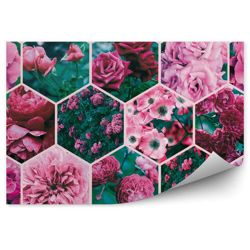 Papier peint Collage de roses fleurs plantes