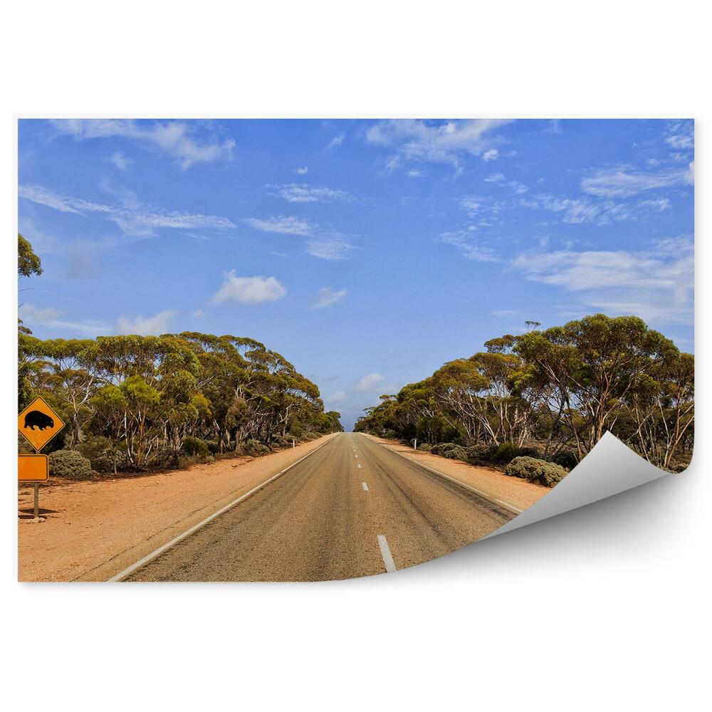 Papier peint Panneau routier route nature arbres
