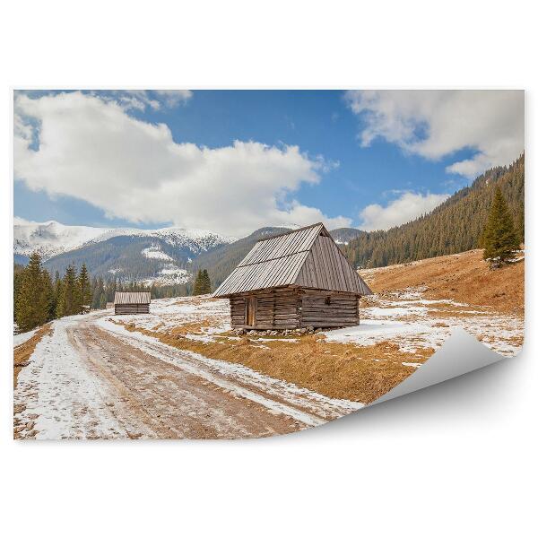 Papier peint Chalets en bois chemin de terre tatra nature