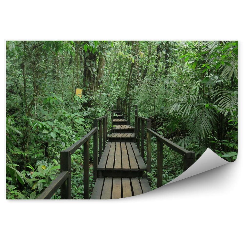 Papier peint Pont en bois au milieu de la forêt Voyage vert