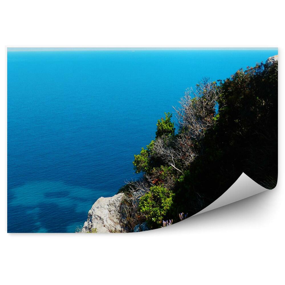 Papier peint Mer bleue Horizon Végétation Phare