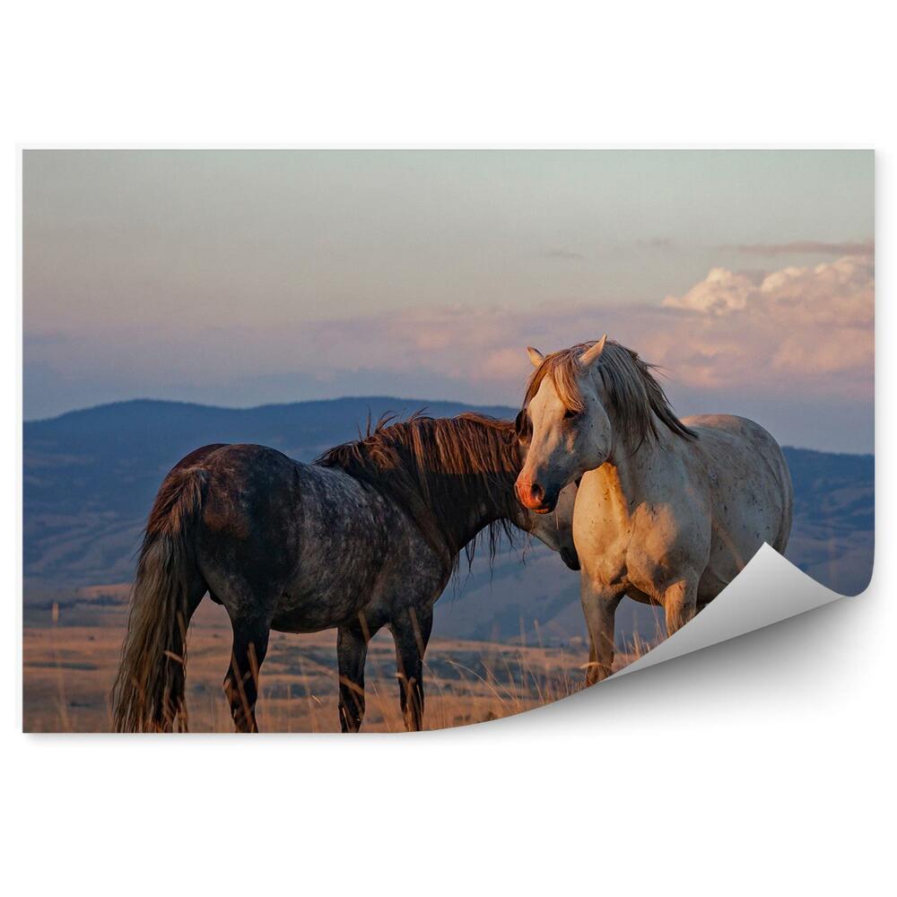 Papier peint Clairière Cheval Blanc Noir Herbe Collines Nuages