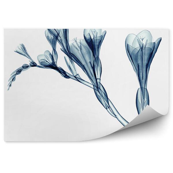 Papier peint Motif de magnolia bleu fond blanc