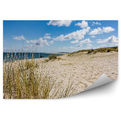 Papier peint Plage D'herbe Océan Peuple Nuages Ciel Limon Allemagne