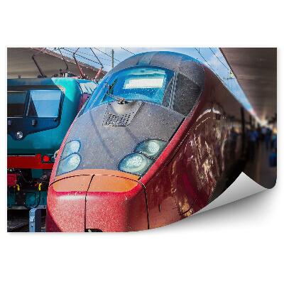 Papier peint Gare de Florence voyageurs touristes