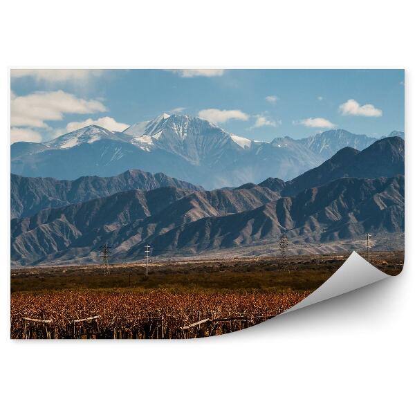 Papier peint Volcan Aconcagua Vignoble Argentin Ciel Nuages Neige