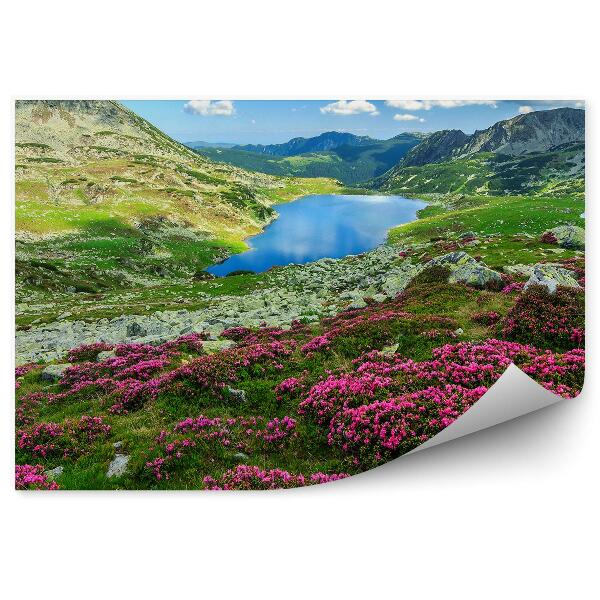 Papier peint Fleurs d'azalée montagne herbe lac ciel nuages