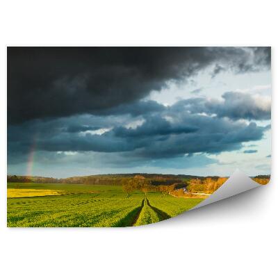 Papier peint Arbres Des Champs Ciel Nuages Arc-En-Ciel