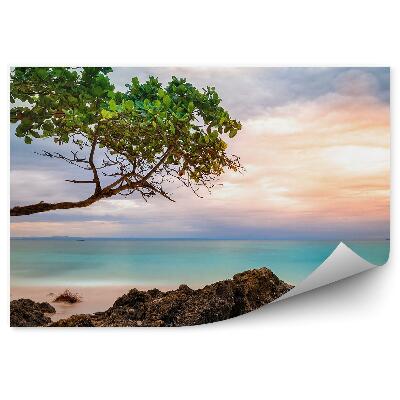 Papier peint Paysage Exotique Rochers Arbre Incliné Mer Coucher De Soleil Nuages
