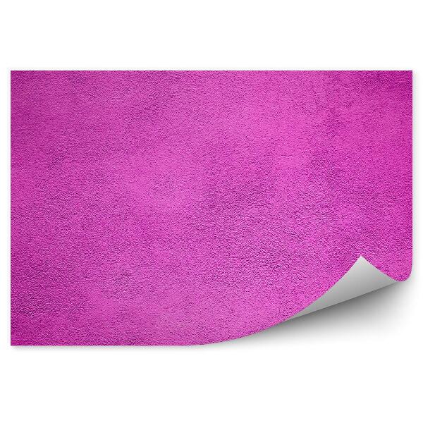 Papier peint Couleur murale fuchsia